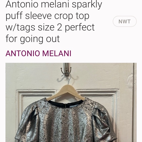 ANTONIO MELANI Silver Sequin Puff-Sleeve Top - Picture 6 of 6